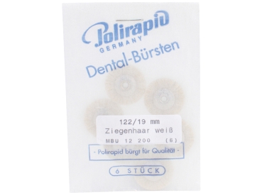 ZR cepillo unm. cabra blanco Ø19mm 6pcs.
